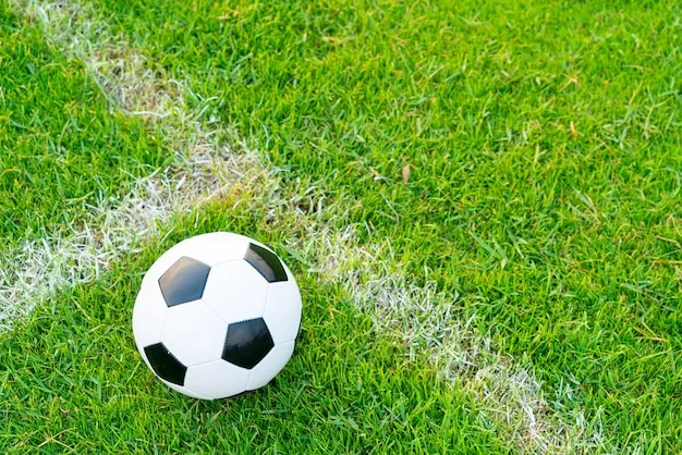 WCBA直播体育 体育盛况